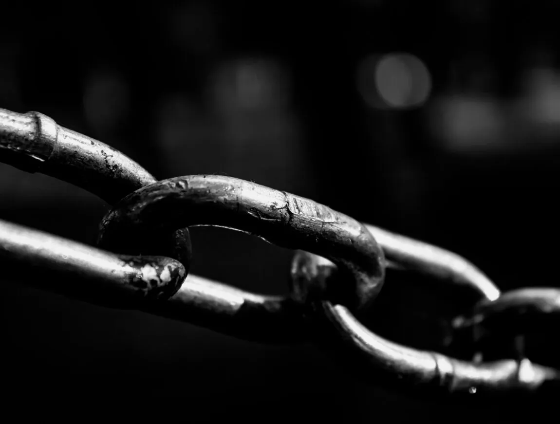 Insights | Net Defence